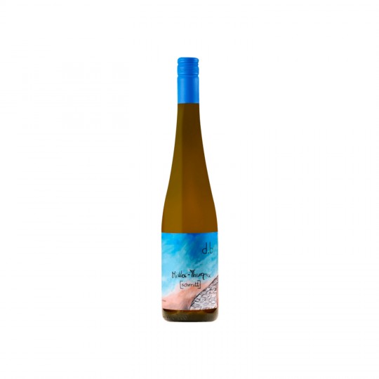 Weingut Schmitt - Muller Thurgau