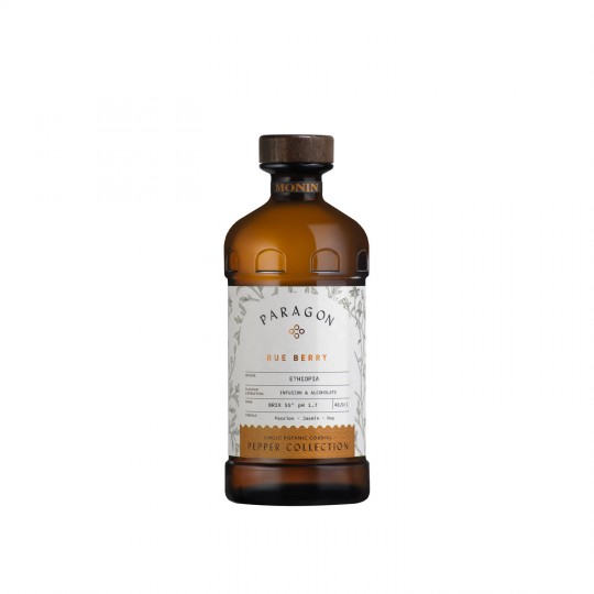 Monin - PARAGON RUE BERRY 48,5 cl