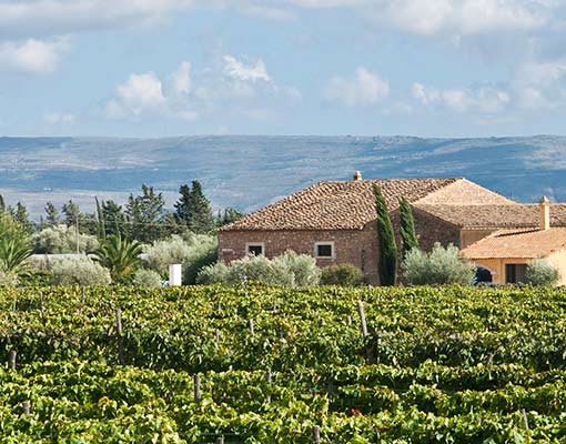 Azienda Agricola COS